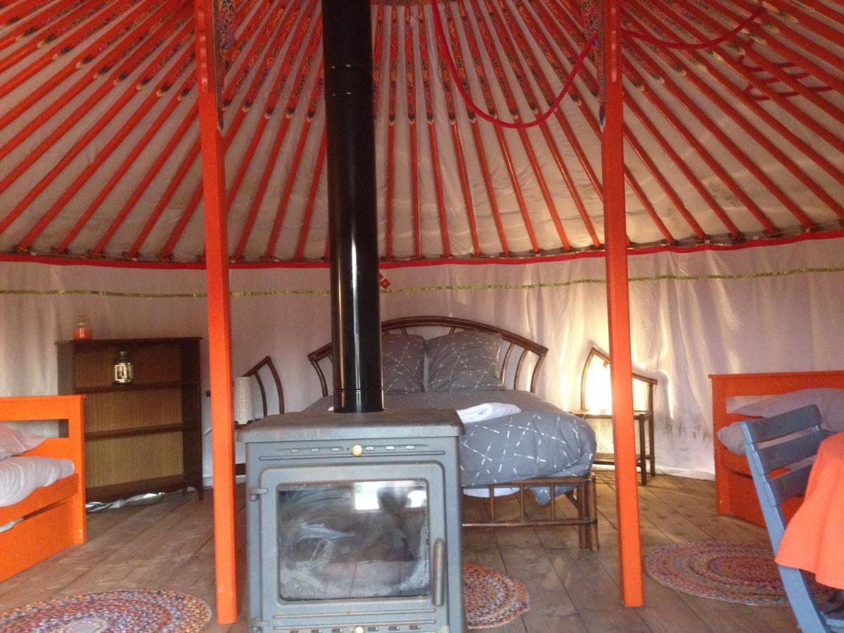Yourte Mongole Saint-Léger-sur-Dheune Oda fotoğraf